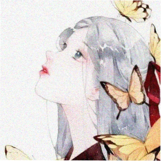 布拉芙夫人完整版 编剧头像